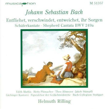 Bach, Weltliche Kantaten 7